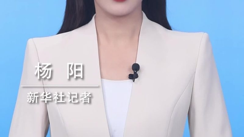 私有云服务：企业数据安全的坚实后盾**
